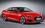 Audi RS5 2017-2019.  487