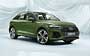 Audi Q5 (2020...)  #171