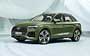 Audi Q5 (2020...)  #181