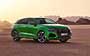Audi RS Q8 2019-2023.  133
