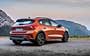 Ford Focus Active (2018...)  #616