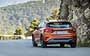 Ford Focus Active (2018...)  #624