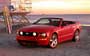 Ford Mustang Convertible 2004-2010.  25