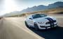 Ford Mustang Shelby GT350 2015-2017.  203