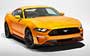 Ford Mustang (2017-2022)  #229