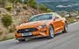 Ford Mustang (2017-2022)  #232