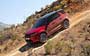 Land Rover Discovery Sport (2019...)  #64