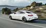 Mercedes C-Class AMG Coupe (2018...)  #783