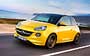 Opel Adam 2012-2019.  33
