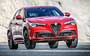Alfa Romeo Stelvio Quadrifoglio 2017.... Фото 30