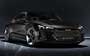 Audi E-tron GT Concept . Фото 13