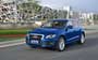 Audi Q5 (2008-2012) Фото #18