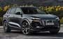 Audi SQ6 e-tron 2024....  51