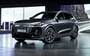 Audi SQ6 e-tron 2024....  53