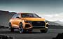 Audi Q8 Sport Concept . Фото 26