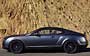 Bentley Continental Supersports 2009-2011. Фото 59