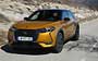 DS 3 Crossback . Фото 18