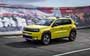 FIAT Grande Panda 2024....  137