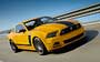 Ford Mustang Boss 5.0 2011-2013.  105