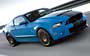 Ford Mustang Shelby GT500 (2011-2013)  #113