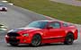Ford Mustang Shelby GT500 (2011-2013)  #122