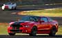 Ford Mustang Shelby GT500 (2011-2013)  #126