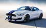 Ford Mustang Shelby GT350 (2015-2017)  #207