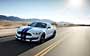 Ford Mustang Shelby GT350 (2015-2017)  #211