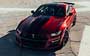 Ford Mustang Shelby GT500 2019....  304