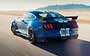 Ford Mustang Shelby GT500 .  319