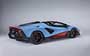 Lamborghini Fenomeno Roadster 2026.... ���� 56