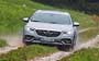 Opel Insignia Country Tourer . Фото 251
