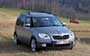 Skoda Roomster Scout 2007-2010.  15