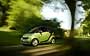 Smart Fortwo 2010-2012.  26