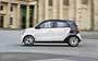 Smart Forfour 2014-2019. Фото 19