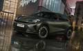 Cupra Raval 