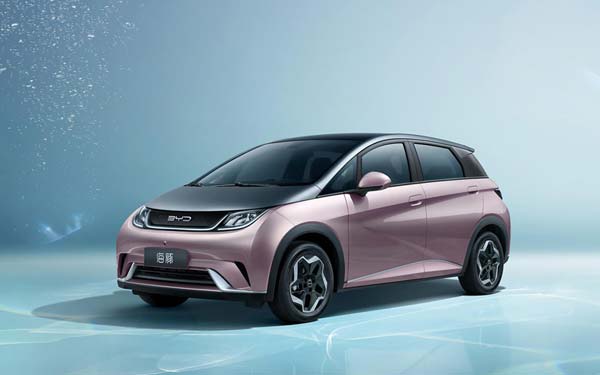 BYD Dolphin (2021...)  #7