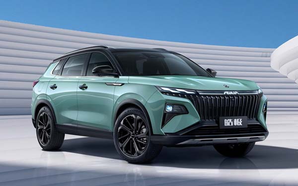 DongFeng Huge (2025...)  #9