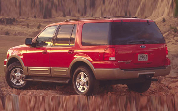 Ford Expedition (2003-2006)  #12
