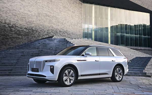 Hongqi E-HS9 (2020...)  #1