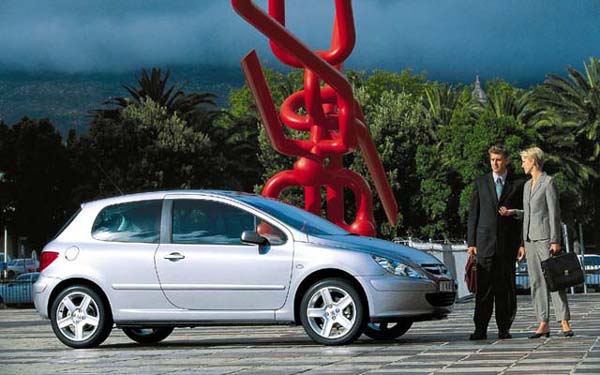 Peugeot 307 (2001-2004)  #2