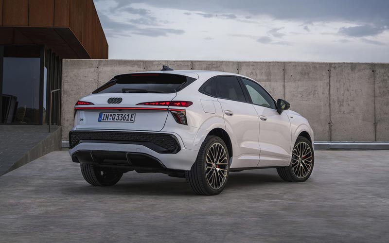 ���� ���� ��3 �������� 