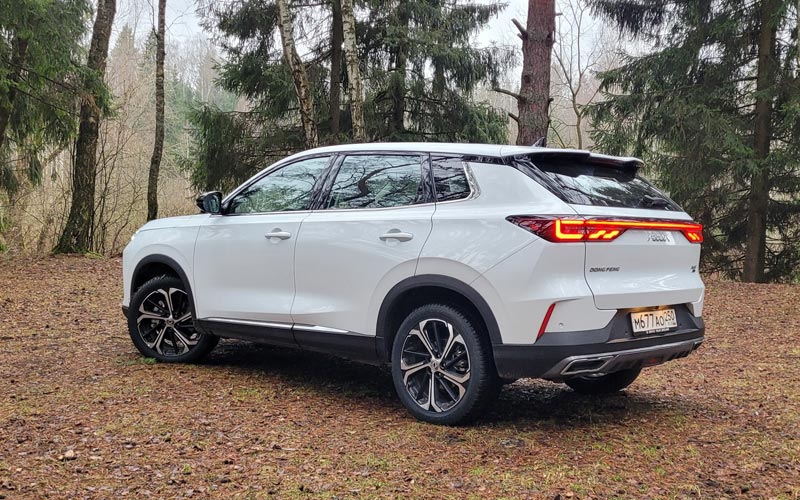 ���� �������� ���� 