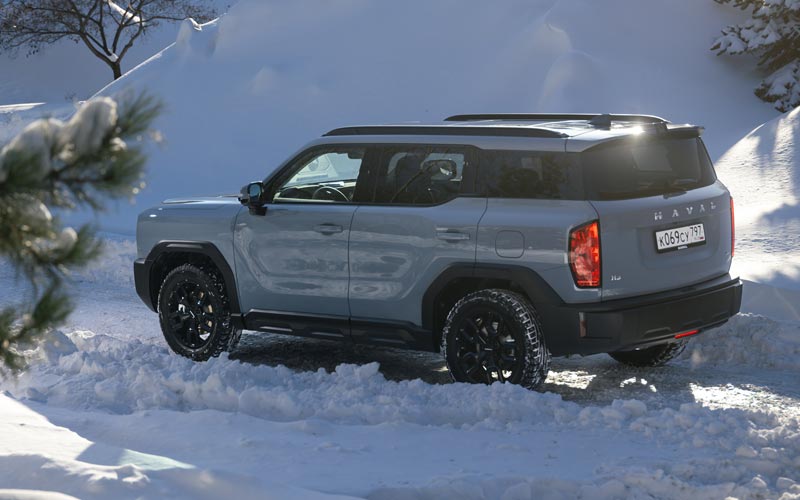 ���� ������ �3 