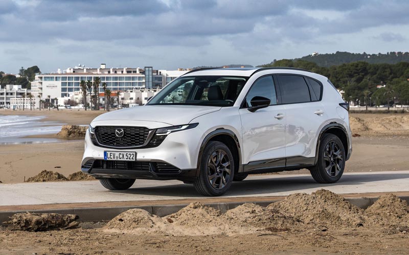 ���� ����� ��-5 