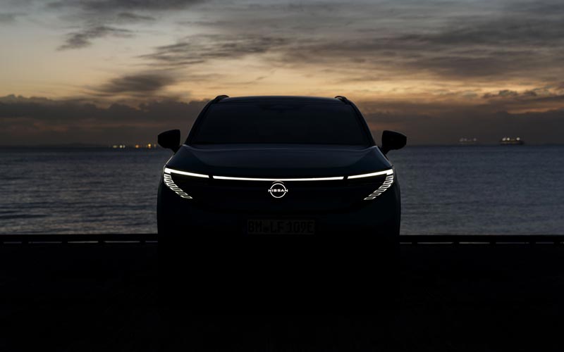 ���� Nissan Leaf 