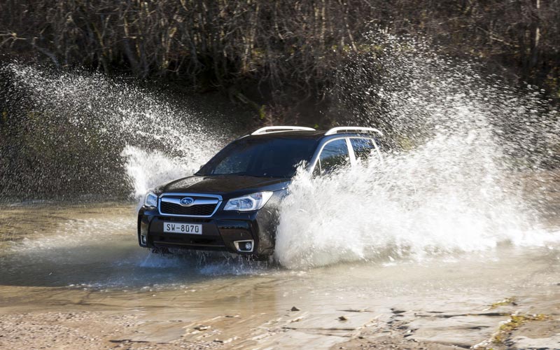  Subaru Forester  (2013-2018)