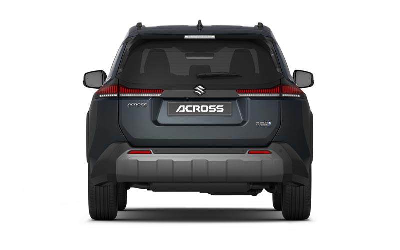 ���� ������ ������ 