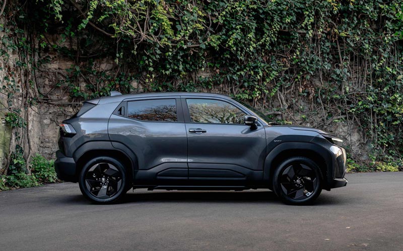 ���� ������ ����� ������ 