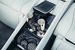�������� ������ Mercedes GLS 680 Maybach. ���� #10